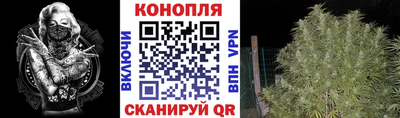 Купить Кинель COCAIN Alpha PVP Псилоцибиновые грибы ГАШИШ
