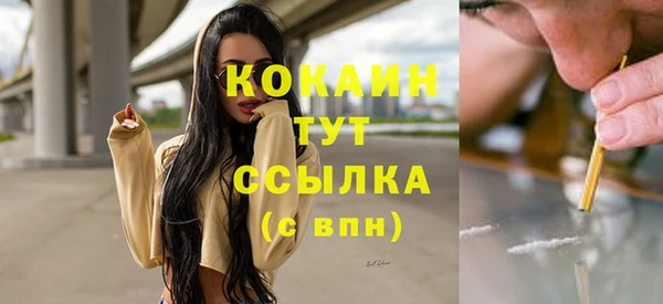 хмурый Горняк