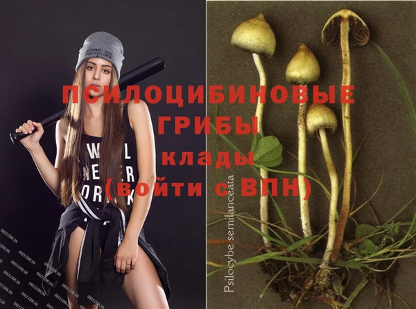 герыч Беломорск